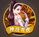 调研执行团队